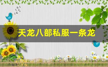 天龙八部sf发布站：天龙八部私服一条龙(新天龙八部一条龙) (2)