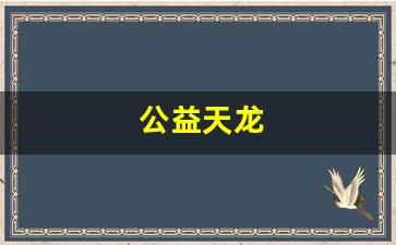 公益天龙(18岁了防沉迷还在) (2)