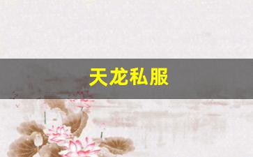 怀旧天龙：天龙私服(天龙手游) (13)