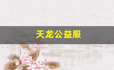 天龙八部最新私服：天龙公益服(天龙公益服是什么意思) (2)