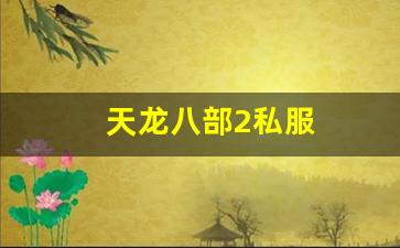 新天龙八部私服：天龙八部2私服 (13)