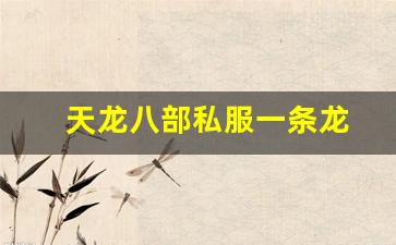 天龙八部私服一条龙(天龙开服一条龙) (2)