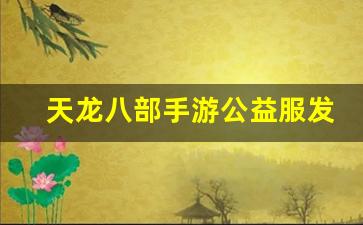 天龙八部手游公益服发布网(天龙八部手游荣耀版礼包兑换码) (3)