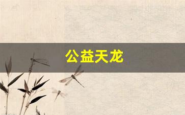 新天龙八部sf：公益天龙(公益天龙吧)