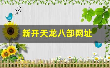 天龙八部私服一条龙：新开天龙八部网址(新天龙八部网游官网)