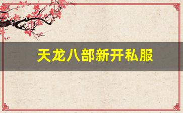 天龙八部找服网：天龙八部新开私服(天龙八部发布网) (15)
