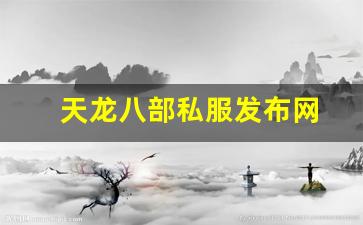天龙八部私服发布网(天龙八部官网端游) (2)