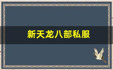 天龙八部3变态服：新天龙八部私服 (13)