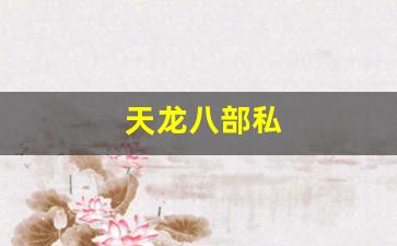 天龙八部私服网站：天龙八部私(新天龙八部官网) (5)