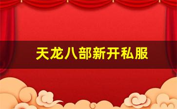 天龙八部新开私服(天龙八部发布网) (11)